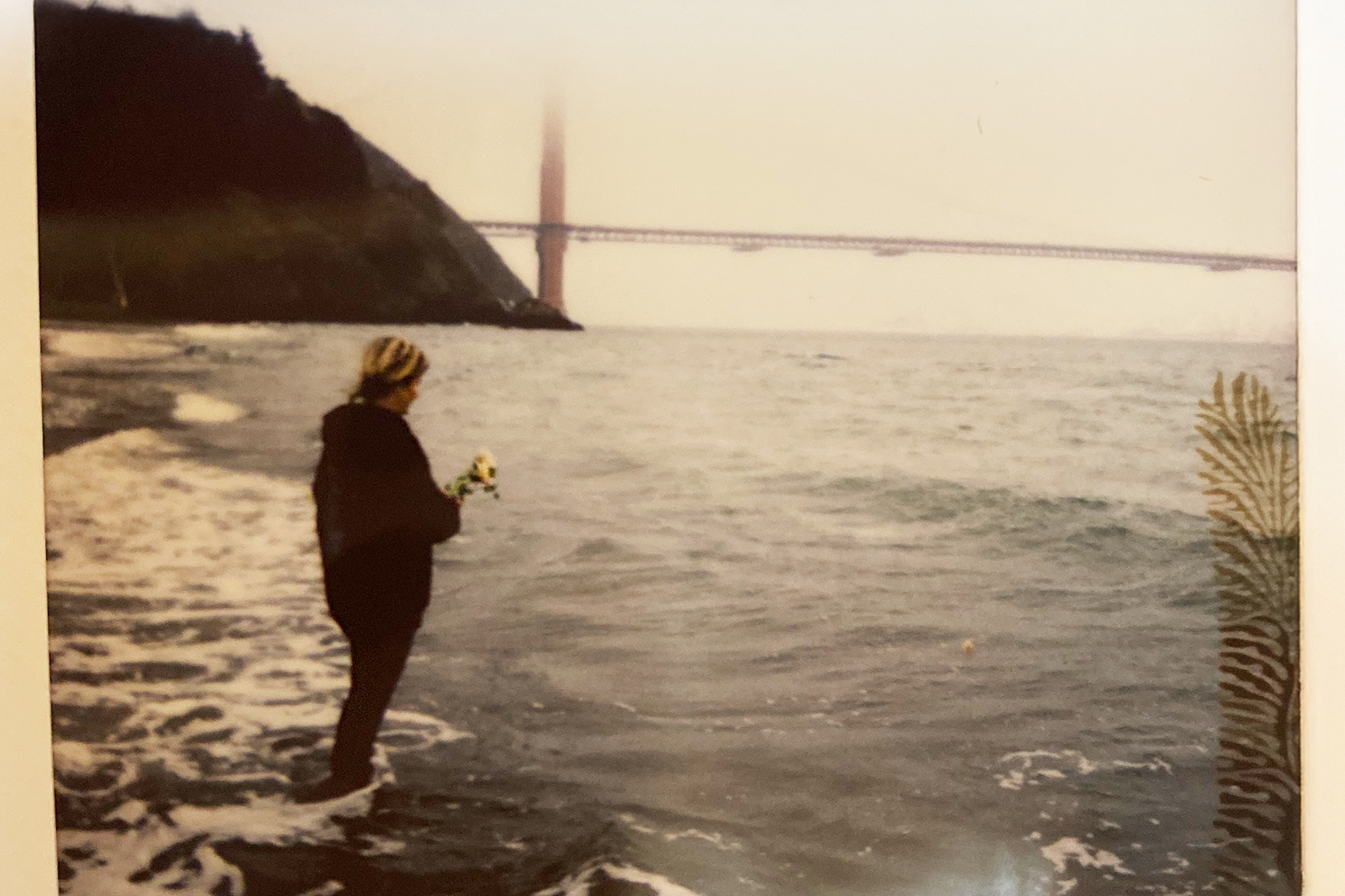 Giving Back on Giving Tuesday