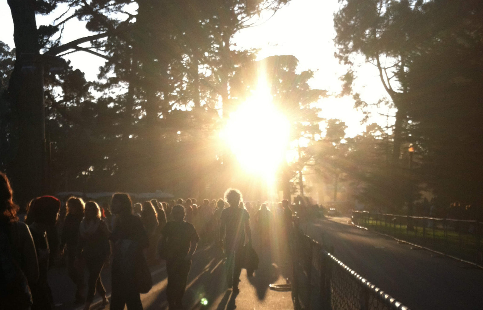 Hardly Short of Incredible