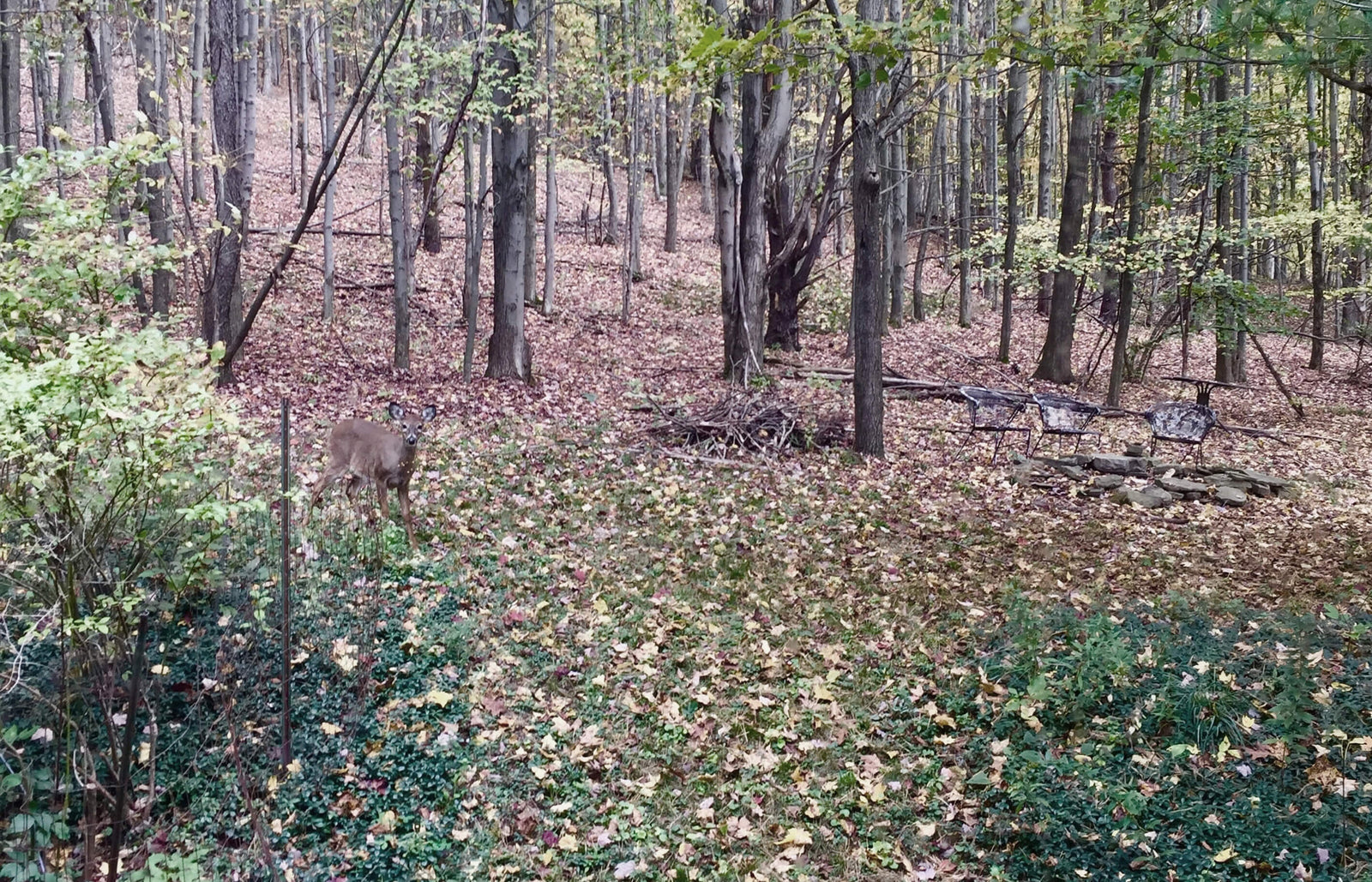 Meanwhile, on the East Coast…