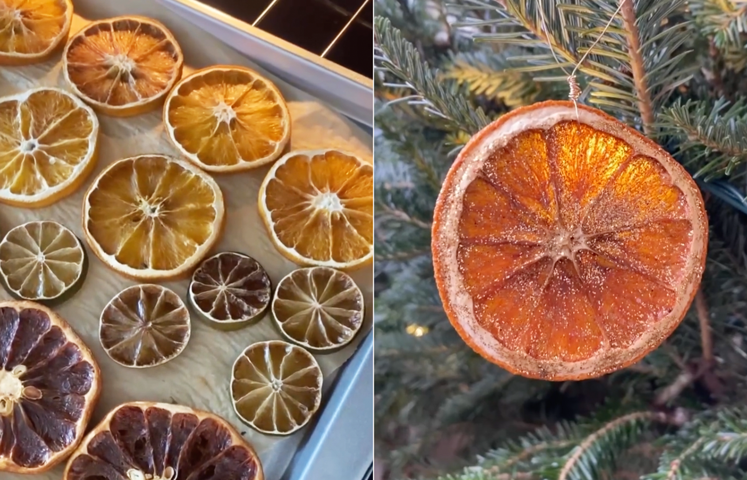 Let's Get Crafty: DIY Citrus Ornaments