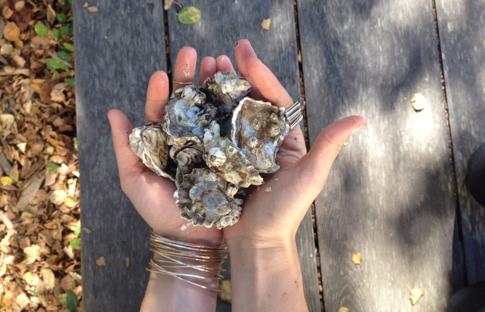 Oysters in Tomales Make for CMD’s Happy Place