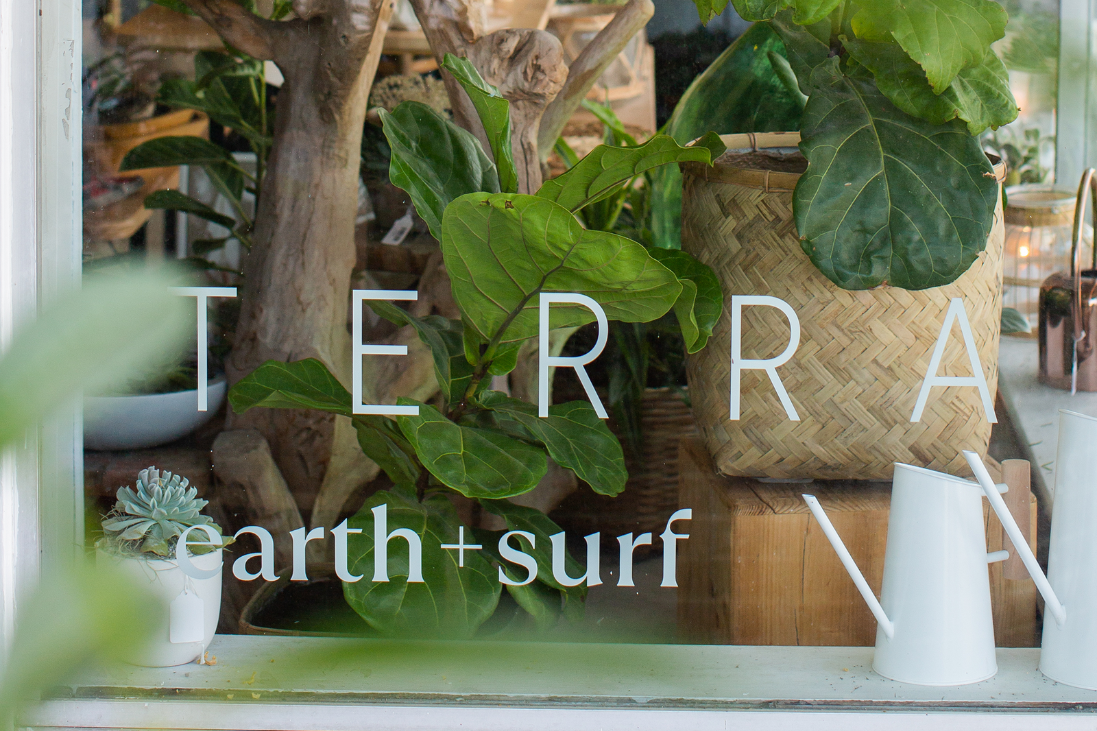 My Summer Road Trip Begins at Terra!