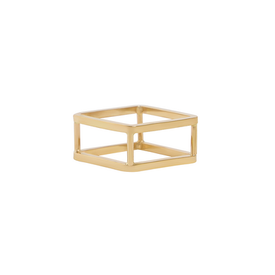 Framework Ring