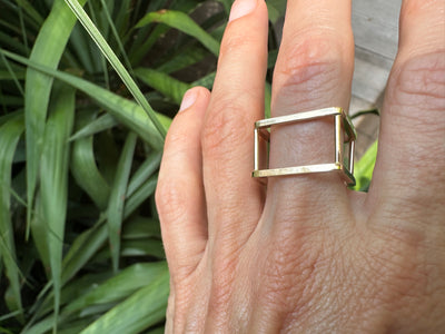 Framework Ring
