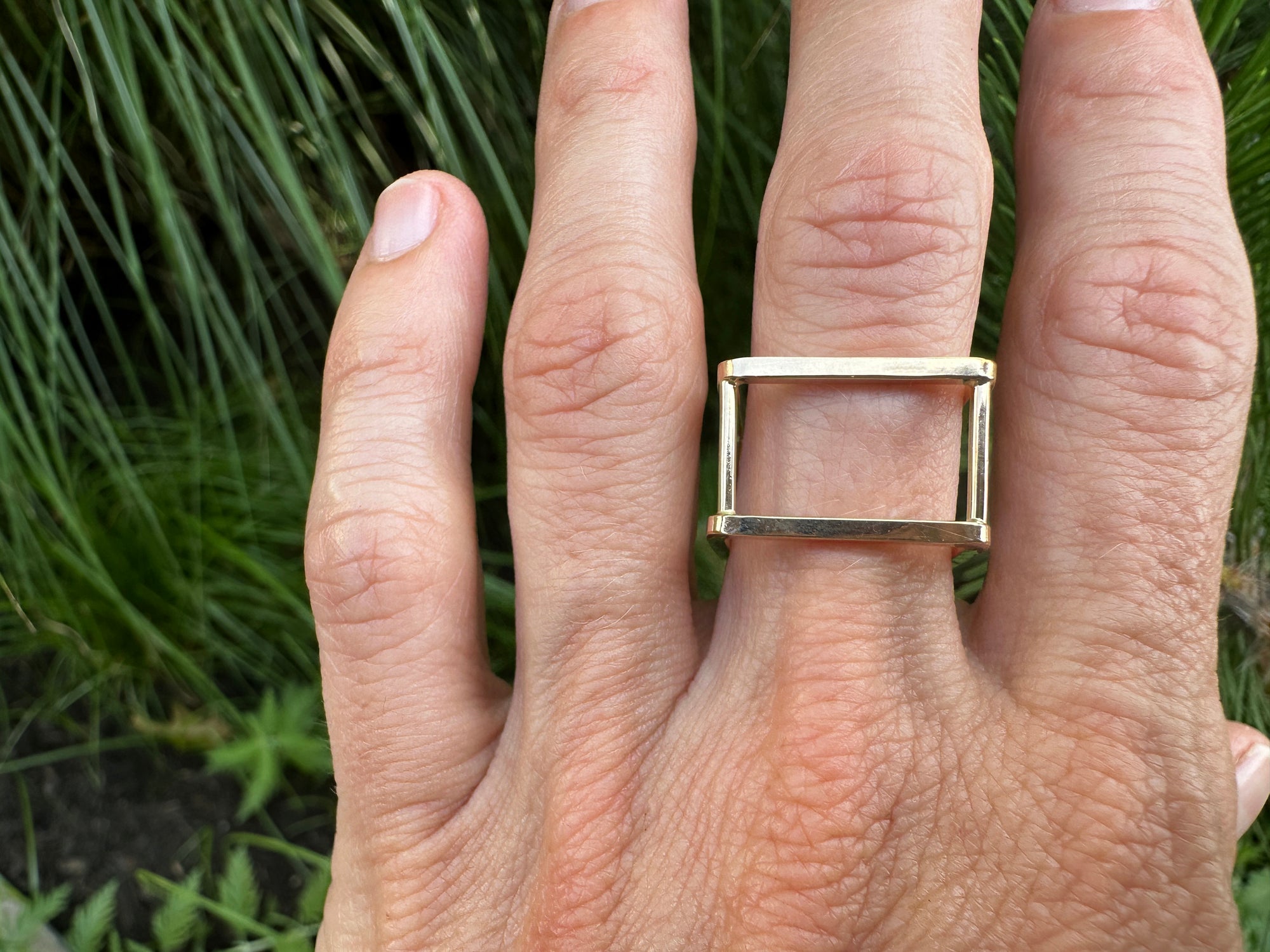 Framework Ring
