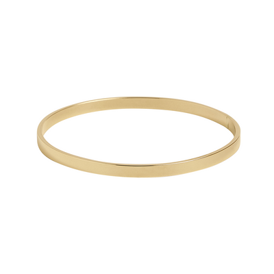 Monotone Evolution Bangle Bracelet